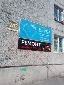 Фотография Верба 2